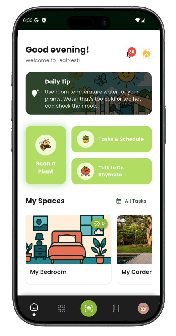 Android 手机上显示的 LeafNest App